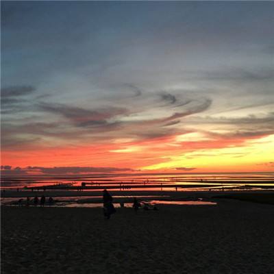 百分之一:房树人