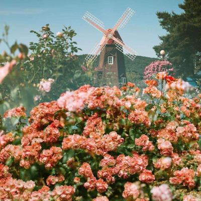 特技滑雪冒险无敌版