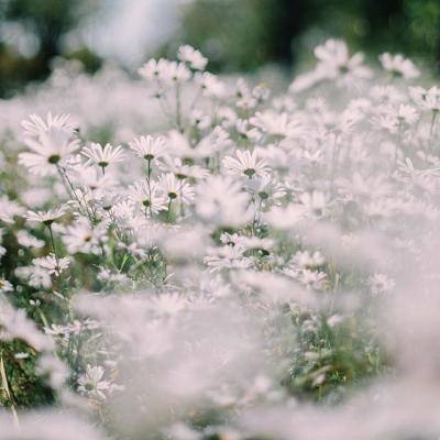 春香挑战扔标杆